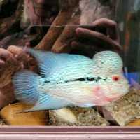 Underwater World Pattaya 