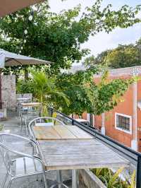 ✨멕시코 바야돌리드 Onza Rooftop Cafe✨
