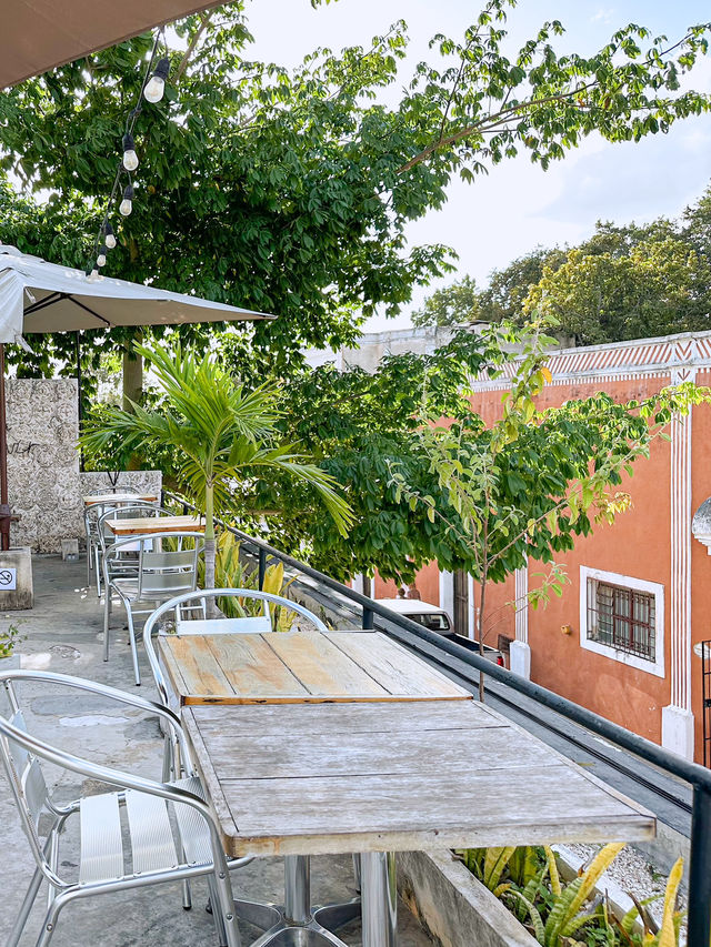 ✨멕시코 바야돌리드 Onza Rooftop Cafe✨