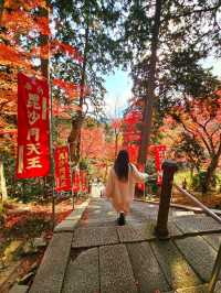 【京都/紅葉スポット】階段一面に落ちた紅葉で大人気💡市内から離れているのに大混雑スポット！