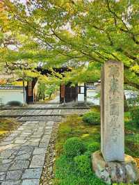 【京都/紅葉スポット】お部屋の中から見る中庭と枯山水が見事なお寺🍂🌾