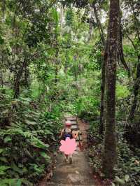 ayung dewata rafting