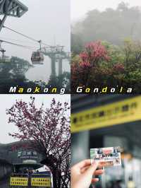 ขึ้นกระเช้า Maokong 