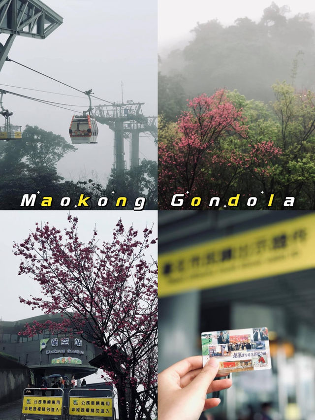 ขึ้นกระเช้า Maokong 