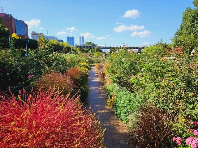 The thousand flowers blossoming at Yamashita Park