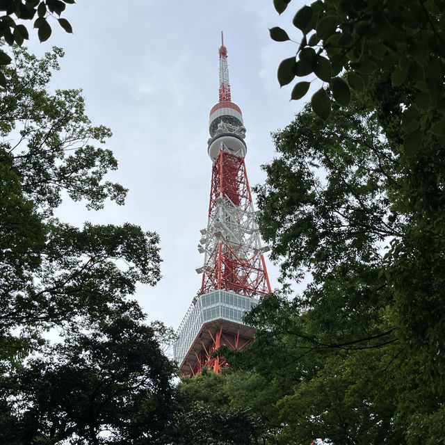 Exploring Central Tokyo: Azabudai Hills and the Iconic Tokyo Tower