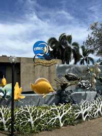 จุดถ่ายรูปสุดฮิตที่ Rayong Aquarium 🦈