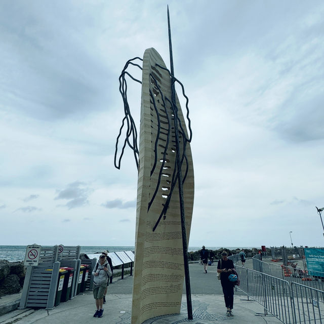 Hillarys Ferry Dock：前往羅特尼斯島的起點 🛳️🐳