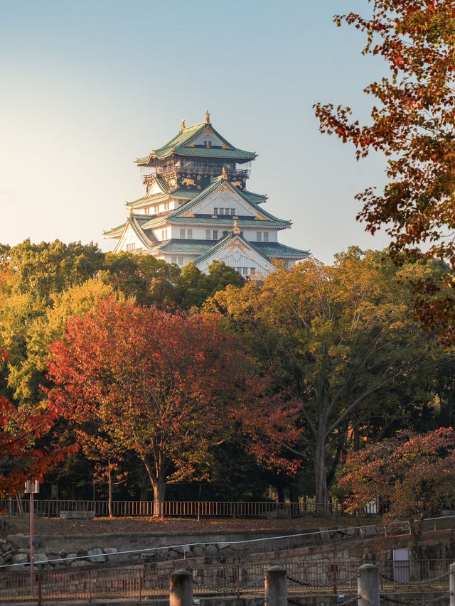 【大阪】紅葉が美しい！秋の大阪城🏯