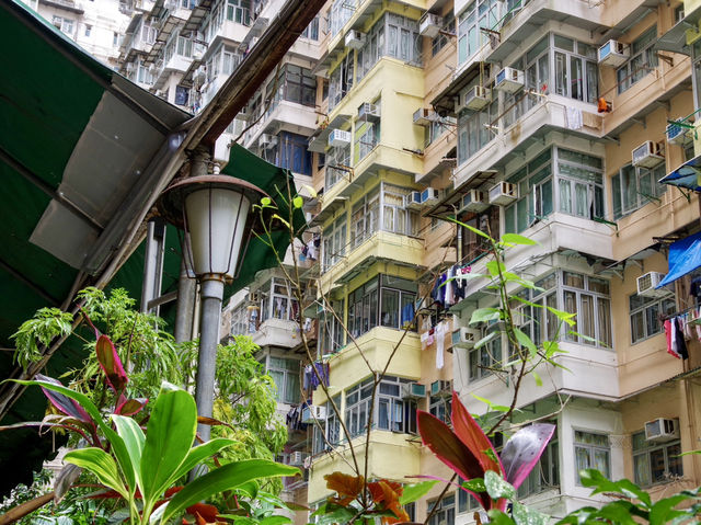 【香港】暮らしが根付く迫力マンション🏢 【香港】暮らしが根付く迫力マンション🏢