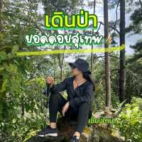 ⛰️เดินป่าวันเดย์ทริป ดูทะเลหมอกบนดอย