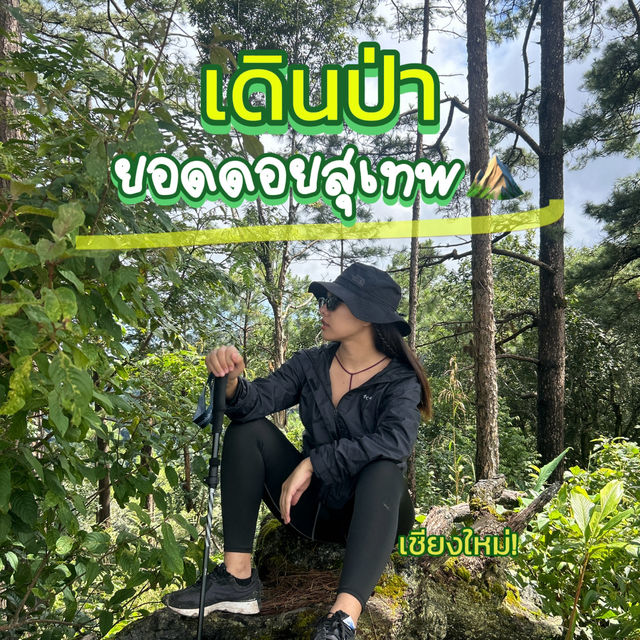 ⛰️เดินป่าวันเดย์ทริป ดูทะเลหมอกบนดอย