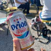 【泉南ロングパーク:大阪府泉南市】まるでハワイみたいな綺麗な場所🌴