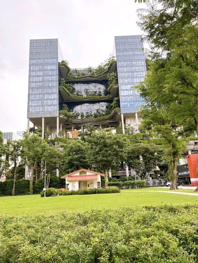 Hong Lim Park: Singapore’s Hub of Heritage and Expression