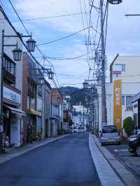 日本靜岡縣：在復古的柳樹林道「佩里之路」散步