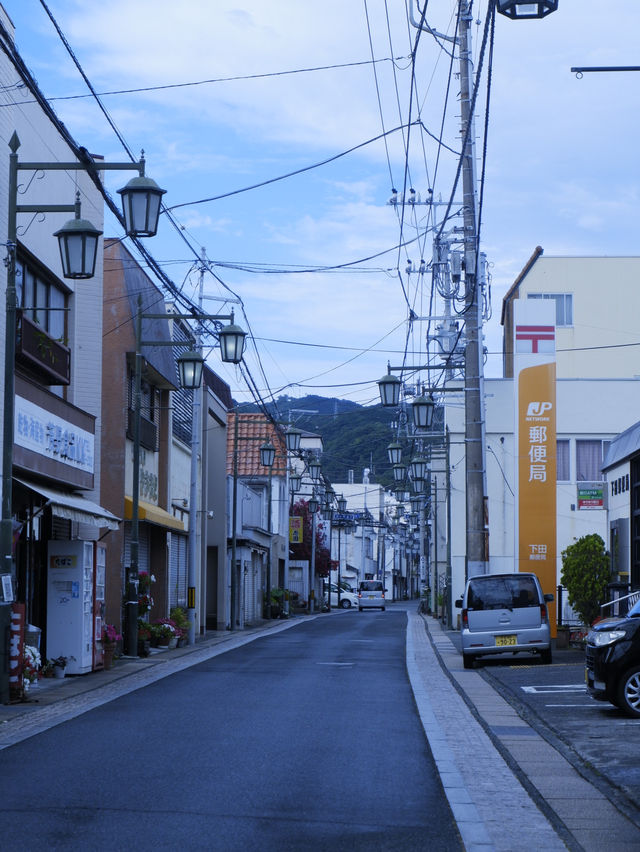 日本靜岡縣：在復古的柳樹林道「佩里之路」散步