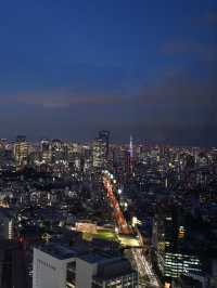 東京｜大都会を360°見下ろすことができるのはきっとここだけ