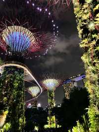Garden by the bay 📍Singapore 