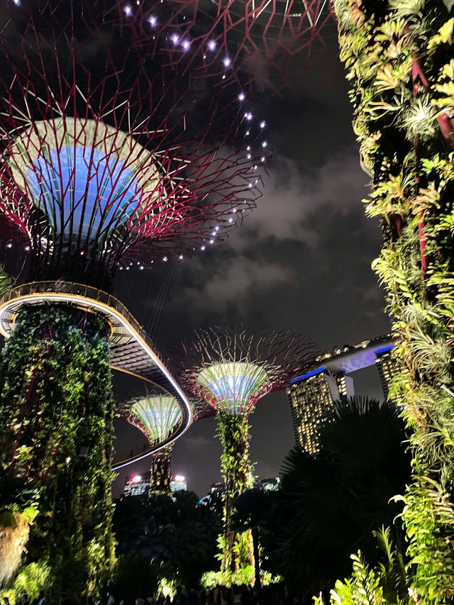 Garden by the bay 📍Singapore 