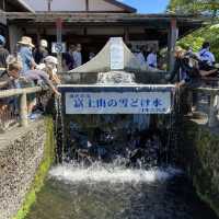 東京旅遊之～忍野八海