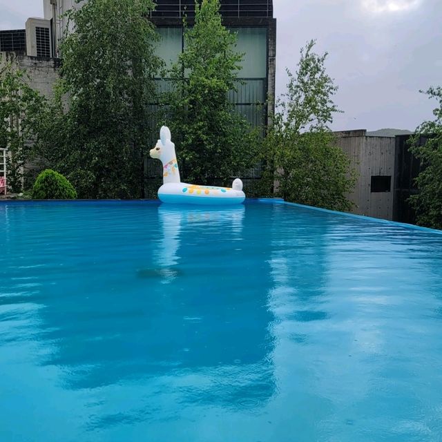다 좋은 빠쎄꼼뽀제