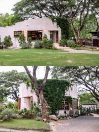JUDY'S HOME คาเฟ่เมืองลำพูนกับน้องห่านสุดน่ารัก