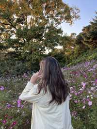 สวนสาธารณะ Seoul grand park