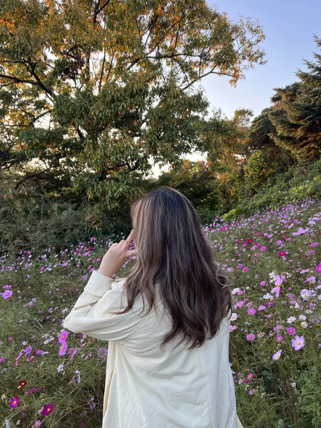 สวนสาธารณะ Seoul grand park