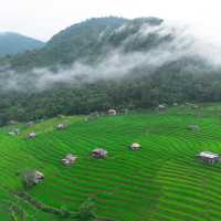 10ข้อควรรู้ ก่อนมาป่าบงเปียง 🌾⛰️🌧️