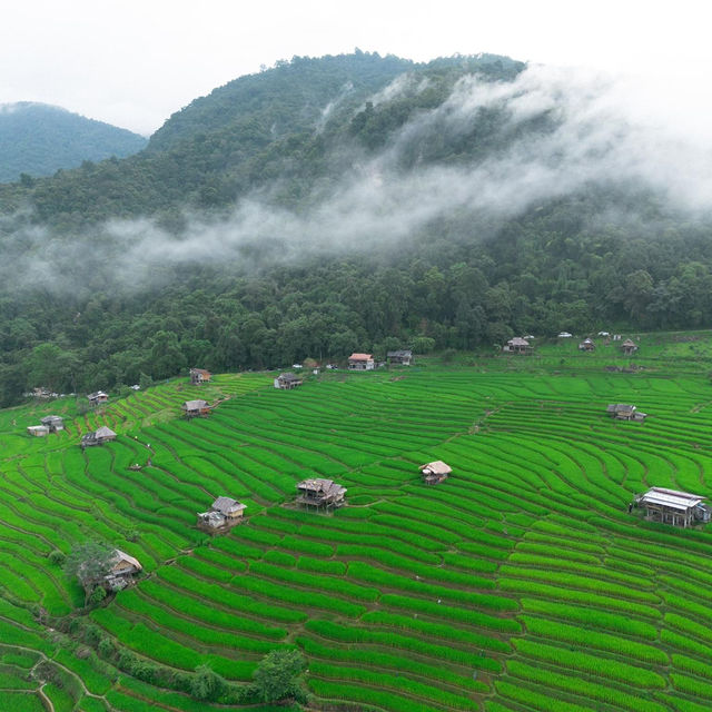 10ข้อควรรู้ ก่อนมาป่าบงเปียง 🌾⛰️🌧️
