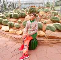 สวนพฤกษศาสตร์สมเด็จพระนางเจ้าสิริกิติ์