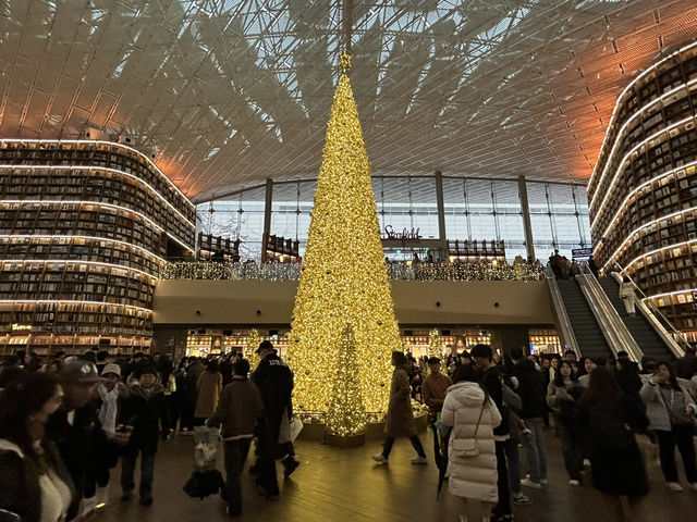 【韓国・カンナム】韓国のクリスマスイルミネーション