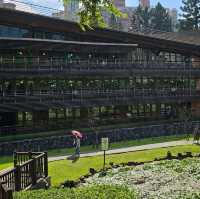 安排北投旅遊好住處