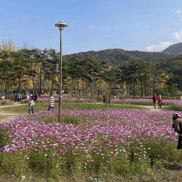 문광저수지에서 바람쐬다 가자