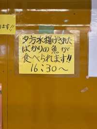 【和歌山／白浜】海の見える施設で海鮮三昧