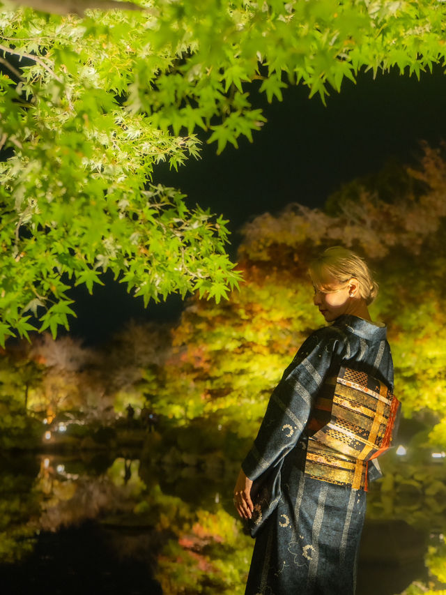 \紅葉のライトアップ/京都と言えばまずはここ！「東寺」夜間特別拝観とは？？？