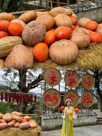 Harvest Colours and Timeless Traditions: Our Journey to Huangling Village