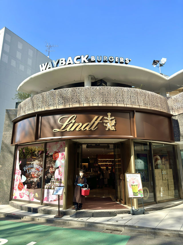 東京　東京観光　オシャレ観光スポット表参道ヒルズに行ってきた！