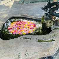 【おんせん県おおいた】美しい花手水に癒される嵐山瀧神社&三日月の滝