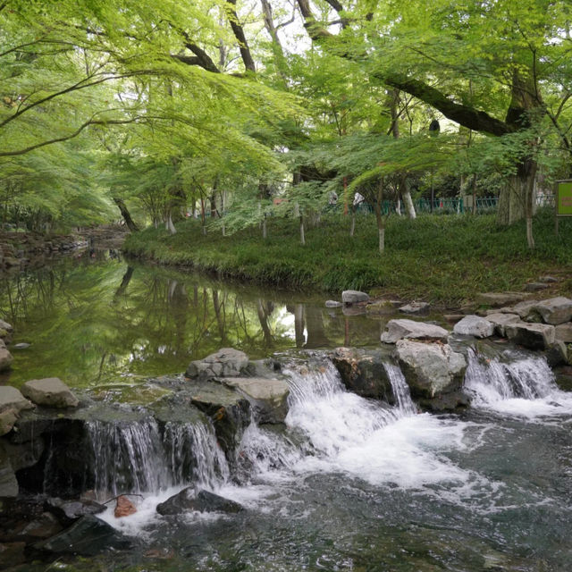 秀桐登山道：健行樂園 🏞️🌅