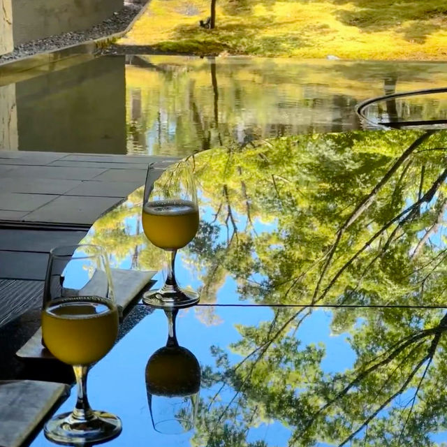 Serene Elegance: My Peaceful Escape to Garrya Nijo Castle Kyoto