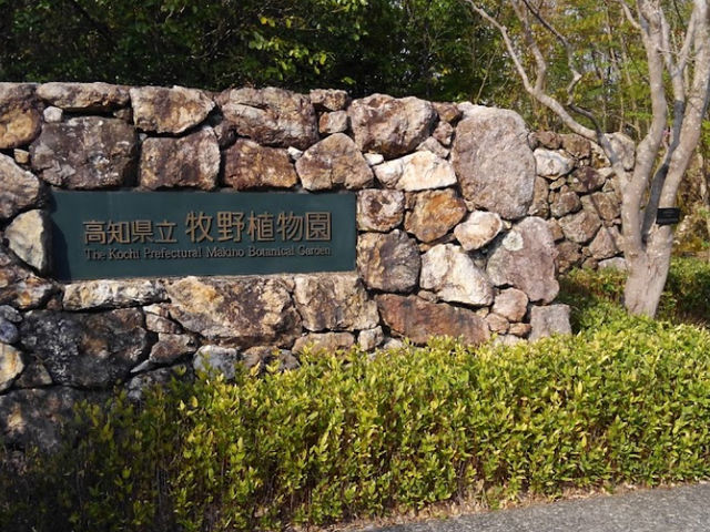 🇯🇵日本【牧野富太郎記念館本館】