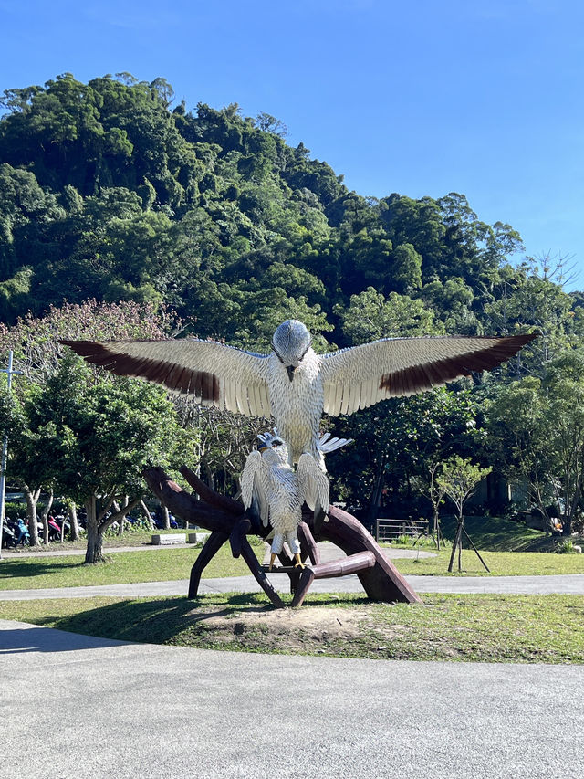 ［桃園旅遊］桃園小秘境-山豬湖生態親水園區🌿🍃🍁🍂