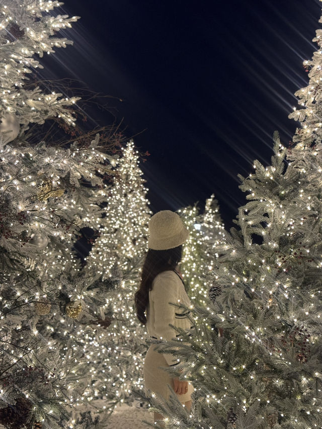 부산에서 만나는 눈 내리는 화이트 트리숲!✨
