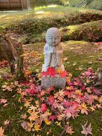 京都南丹の美しい紅葉🍁龍穏寺の秋🍁