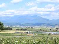 山野之間  六花亭Campana