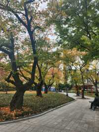 연인과 가을에 힐링하기 좋은 경상감영공원🍂