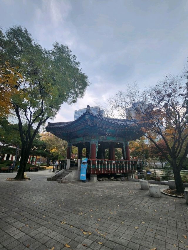 연인과 가을에 힐링하기 좋은 경상감영공원🍂
