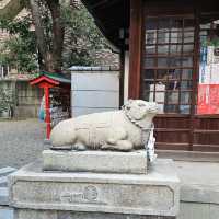 隱藏在市區的靜謐角落 〔走水神社  〕