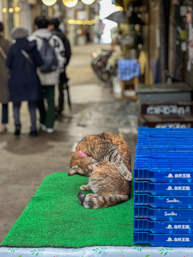 【広島／尾道】タイムスリップしたかのような商店街